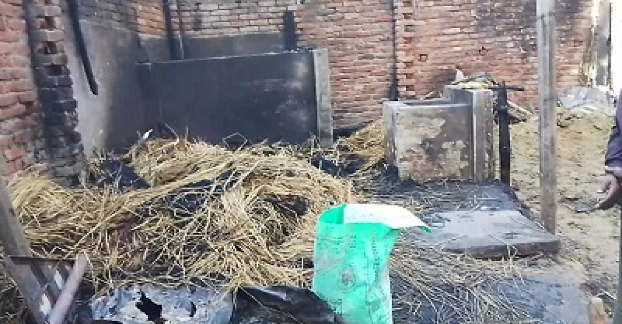 তানোরে অসহায় বয়োবৃদ্ধ বানুর ঘরবাড়ি গরু ছাগল পুড়ে ছাই
