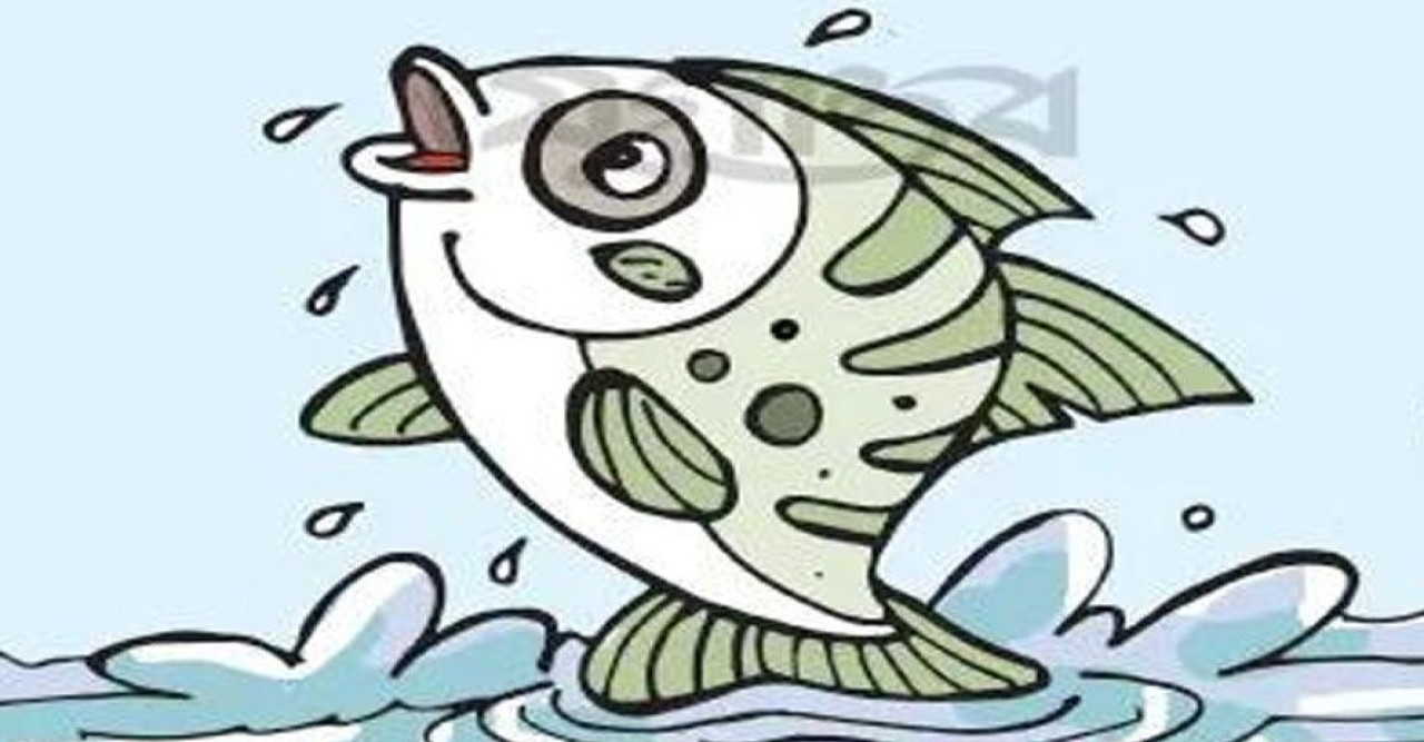 তীরন্দাজ মাছ কি