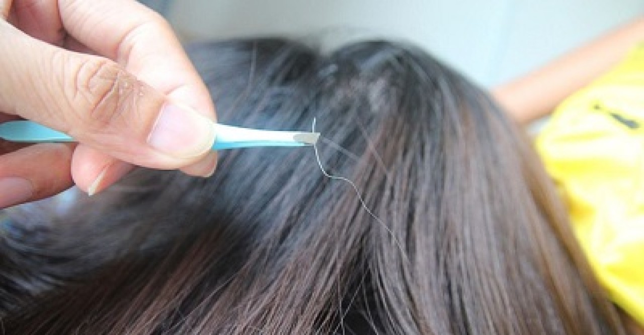 ক্যান্সার রক্ষা করতে পারে পাকা চুল, জেনে নিন কিভাবে