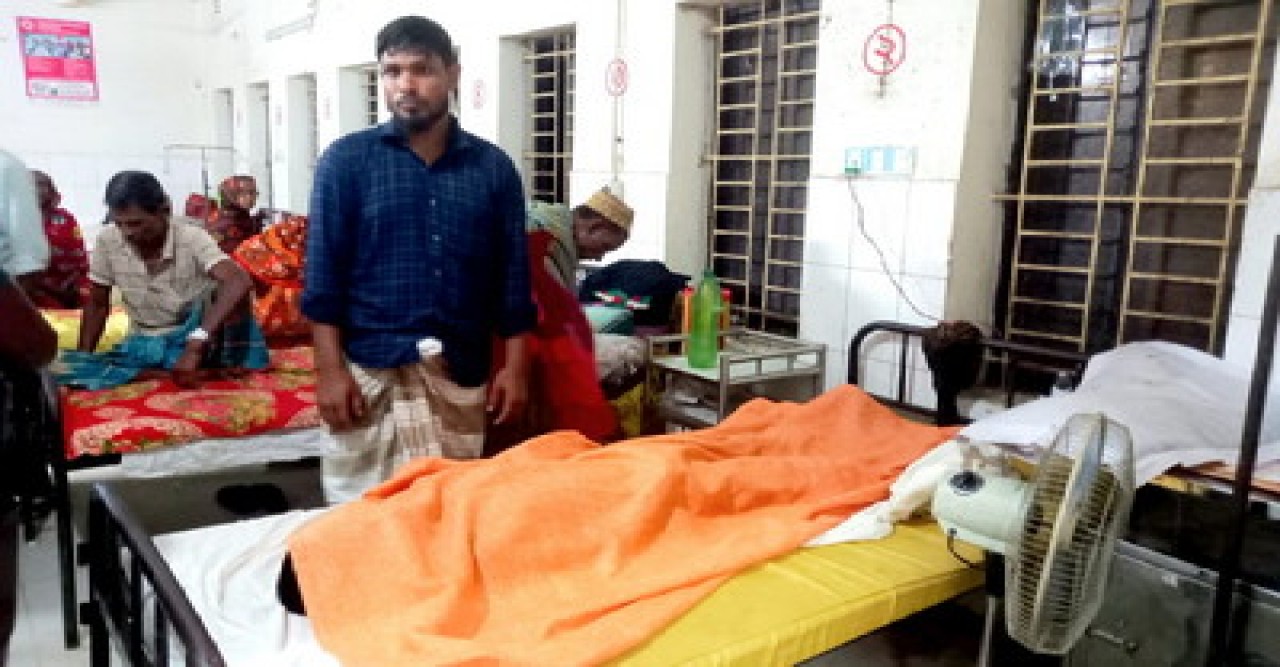 মান্দায় ভিমরুলের কামড়ে প্রতিবন্ধীর মৃত্যু
