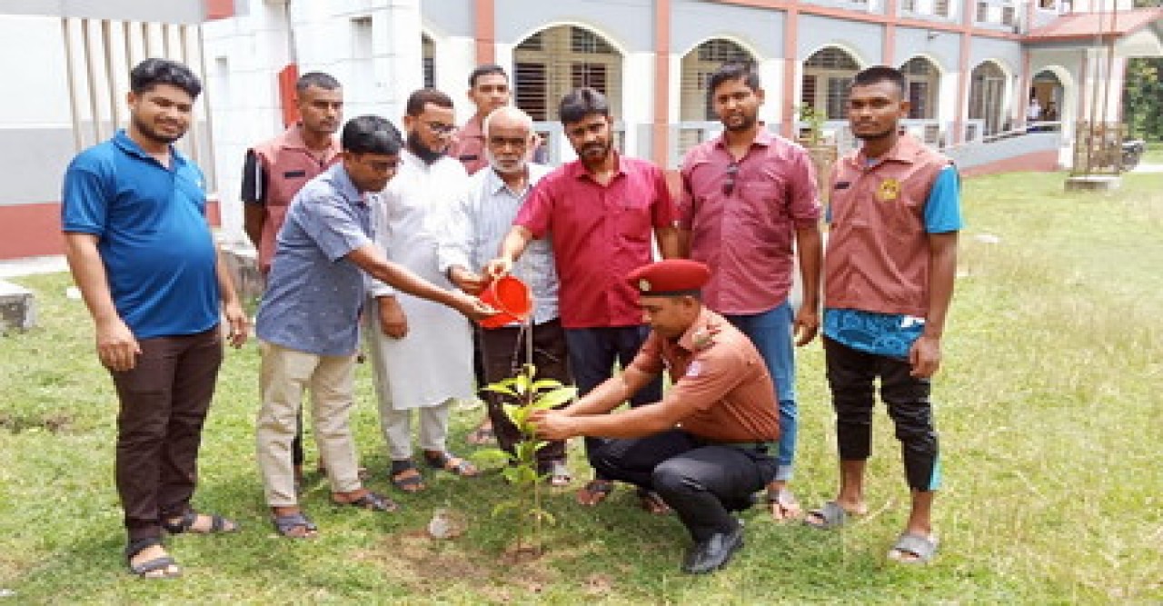বাঘায় আনসার-ভিডিপির দলনেতা রায়হান আলীর উদ্যোগে বৃক্ষ রোপন-চারা বিতরণ