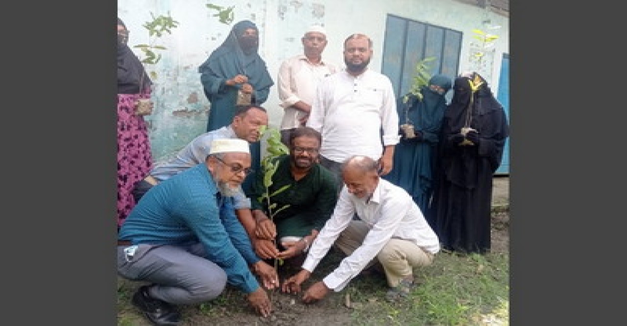 বাঘায় ভ্যারাসিটি সিডলিং সোসাইটির বৃক্ষরোপন ও চারা বিতরণ