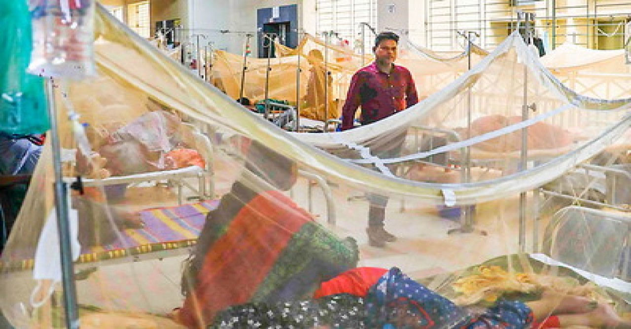 গত ২৪ ঘণ্টায় ডেঙ্গুতে ৯ জনের মৃত্যু, হাসপাতালে ১০৪২ জন