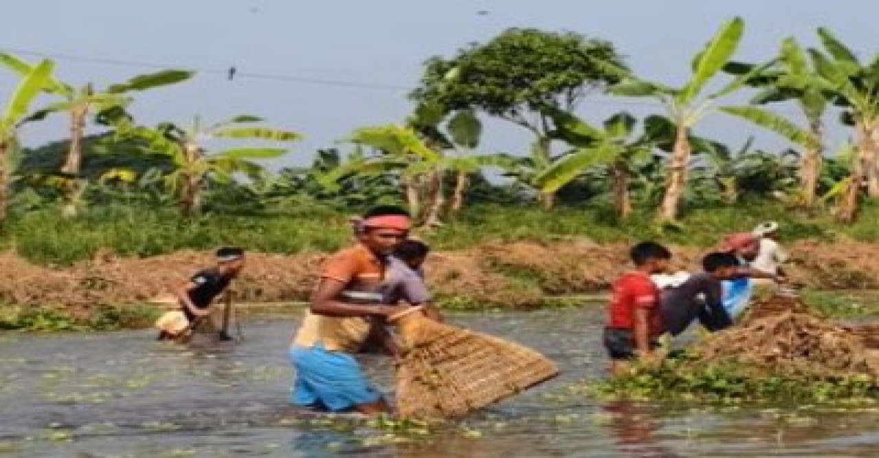 গ্রাম-বাংলার ঐতিহ্য’র বিলে মাছ ধরার উৎসব