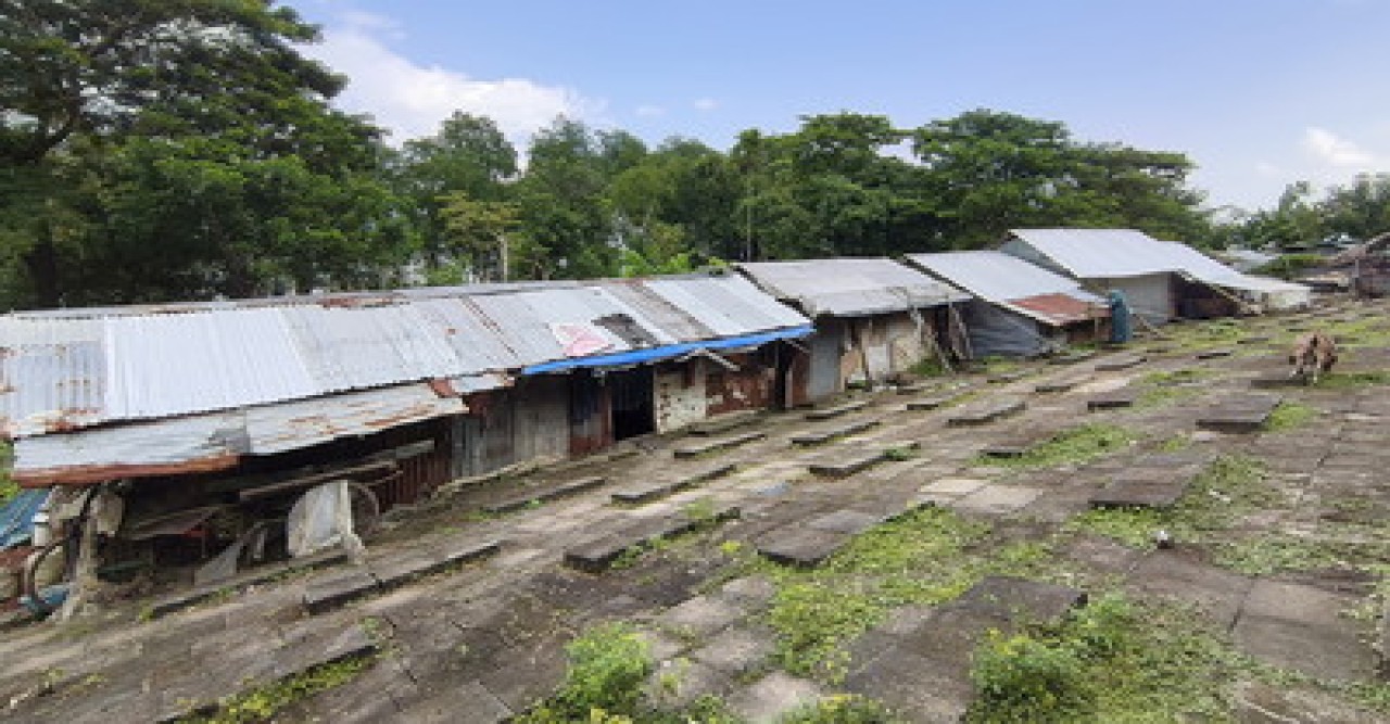 ১৮ বছরেও শুকায়নি সিডরের ক্ষত