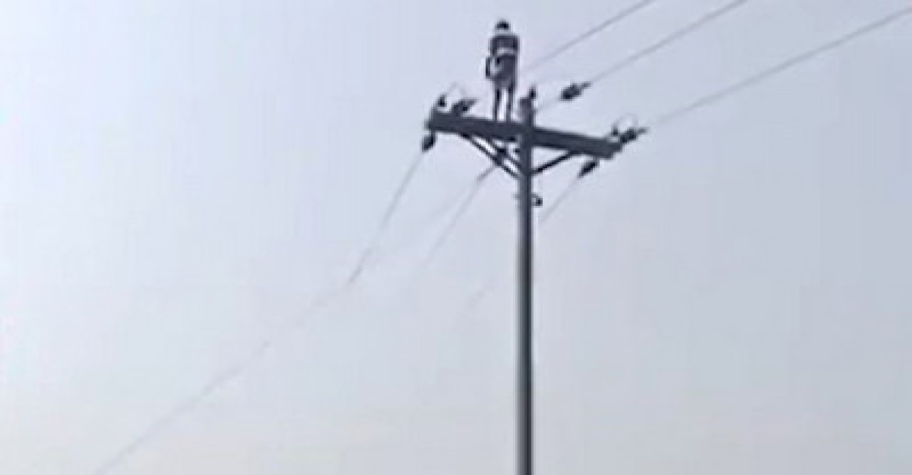 রাজশাহীতে মোবাইল কিনে না দেওয়ায় বিদ্যুতের খুঁটির চূড়ায় কিশোর