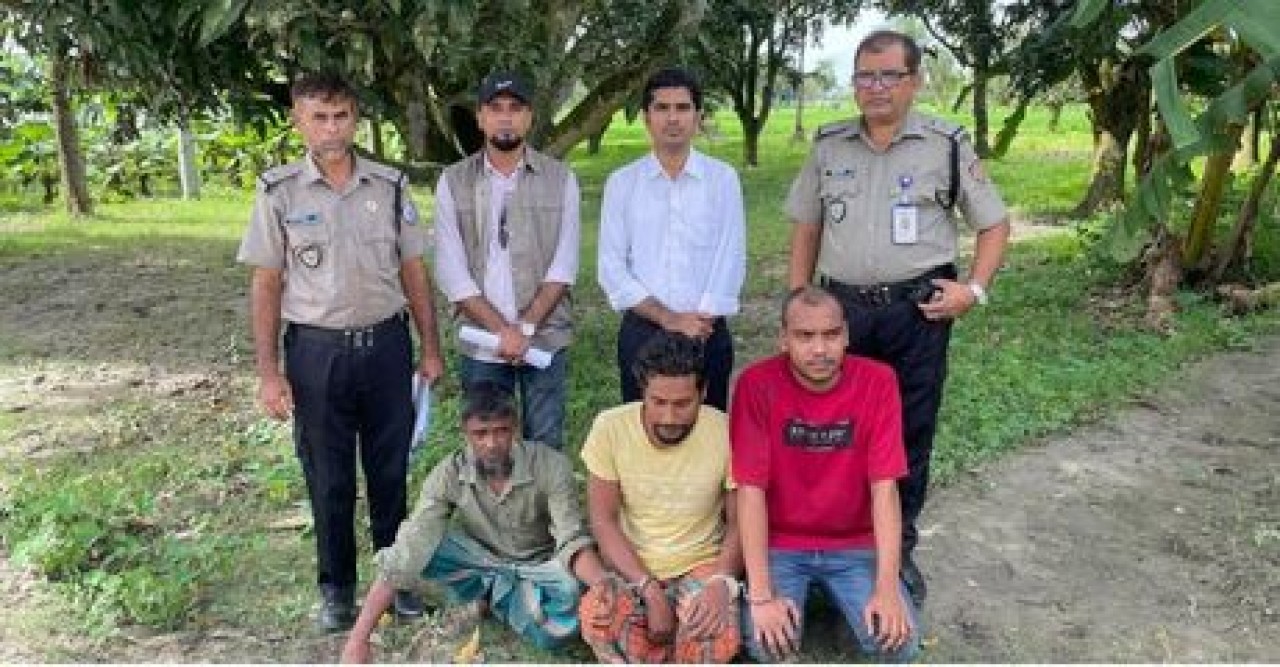 মাদকের বিরুদ্ধে ‘জিরো টলারেন্স’, পুঠিয়ায় তিনজনের কারাদণ্ড