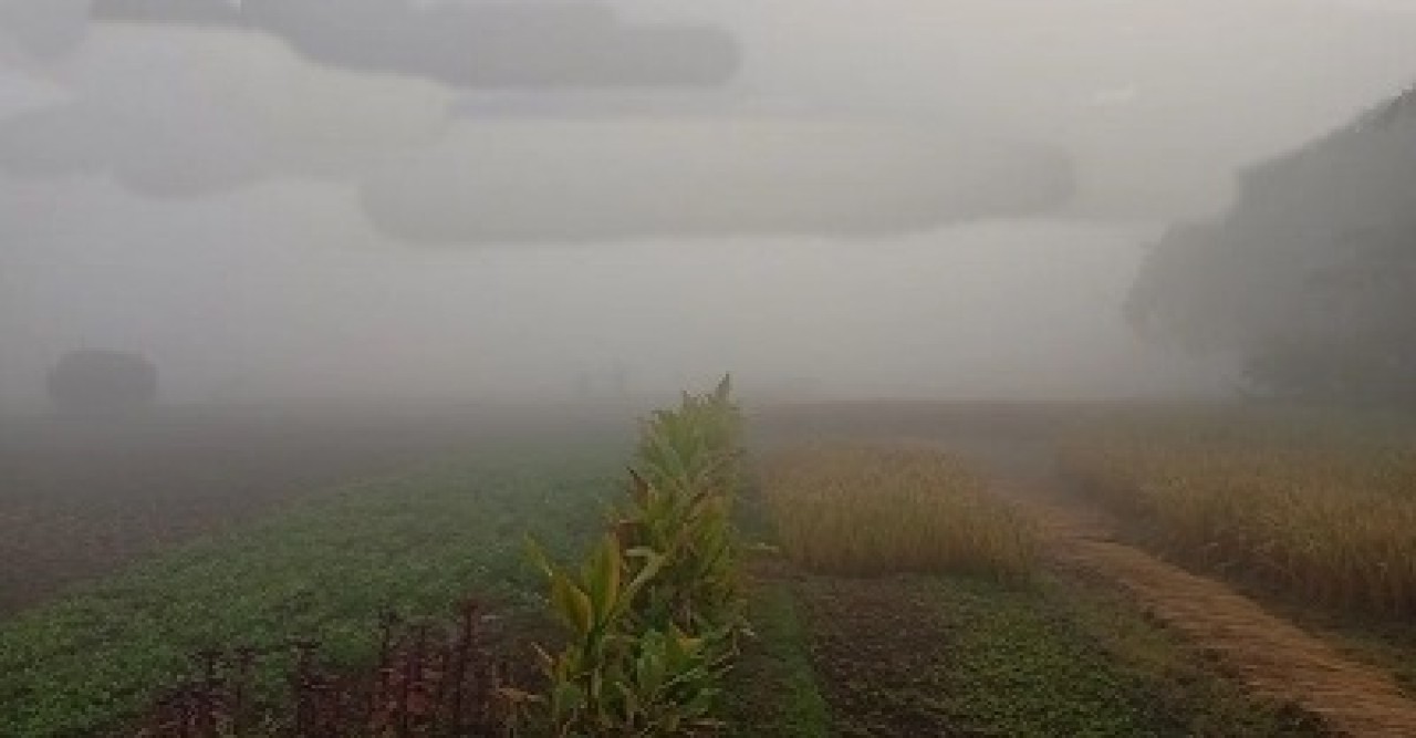 উত্তরাঞ্চলে জেঁকে বসেছে শীত, তাপমাত্রা নামল ১২ ডিগ্রিতে