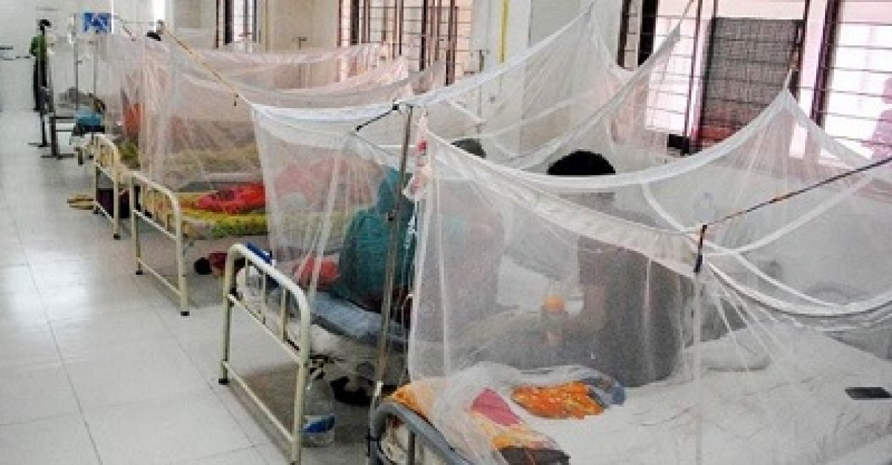 ডেঙ্গুতে আরও ৬ জনের মৃত্যু, হাসপাতালে ভর্তি ৭৮৮