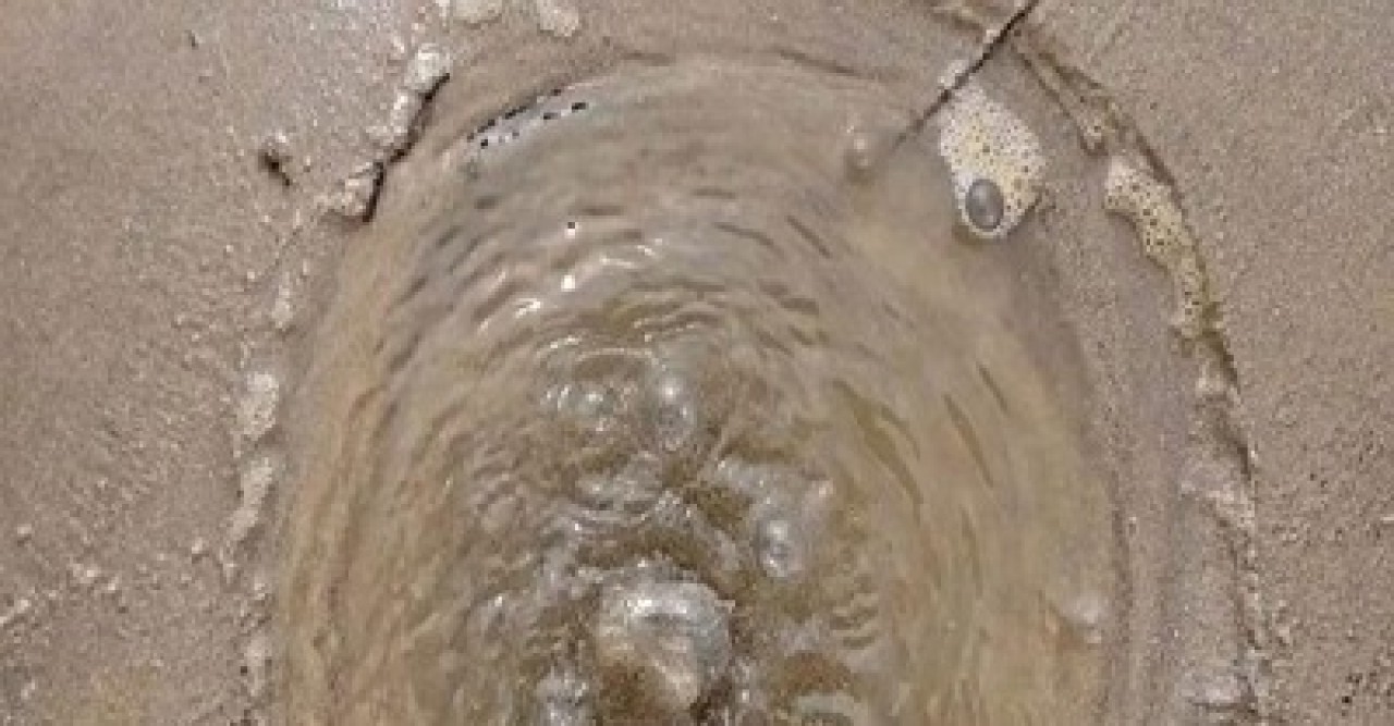 পদ্মা নদী থেকে নির্গত হচ্ছে গ্যাস, জ্বলন্ত কাঠি ধরতেই জ্বলে উঠছে আগুন