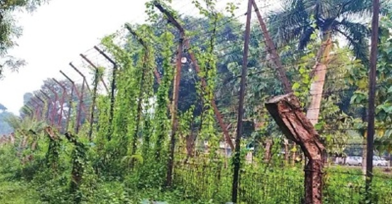 সীমান্তে বিএসএফের গুলিতে দুই বাংলাদেশি নিহত