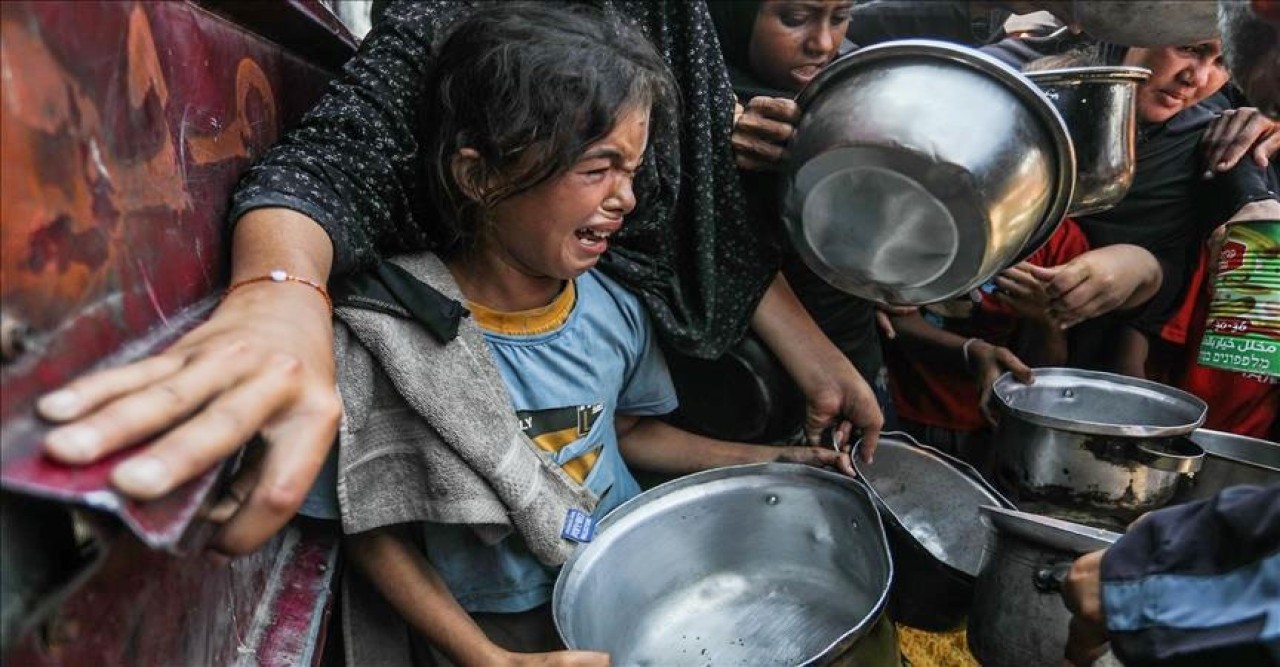 গাজায় নিহত বেড়ে প্রায় ৬৫ হাজার, অনাহারে মৃত ৪২০