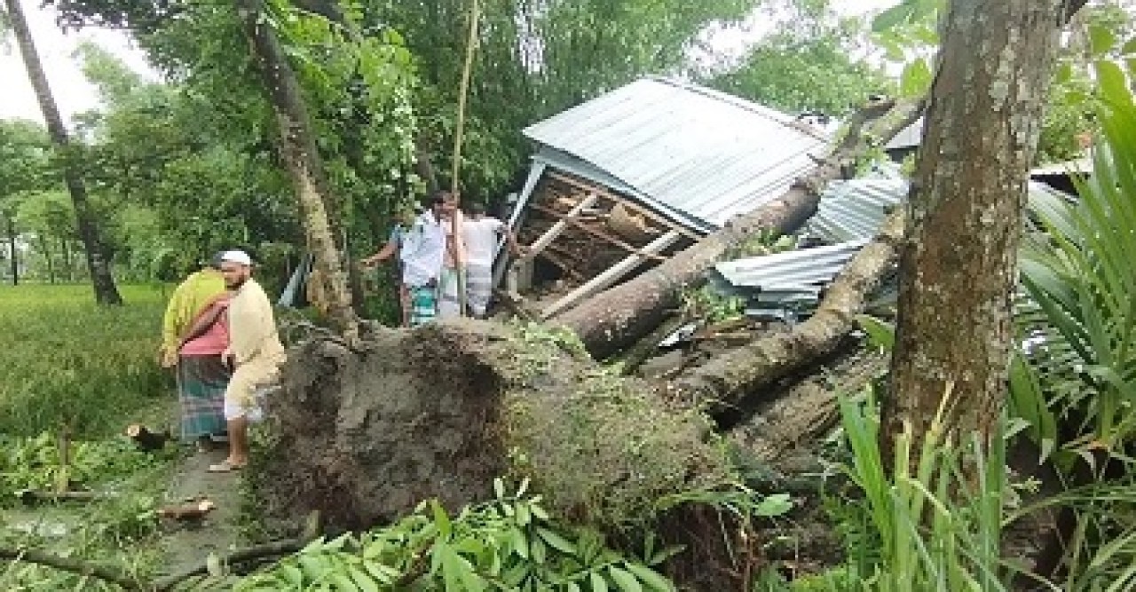 জামালপুরে কালবৈশাখী ঝড়ে গাছ পড়ে মা ও দুই মেয়ের মৃত্যু