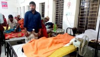 মান্দায় ভিমরুলের কামড়ে প্রতিবন্ধীর মৃত্যু