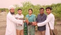 বিয়েতে উপহার সুন্দরবনের ১৫০০ গাছের চারা, স্থান পেল রাজশাহীর পদ্মার চরে