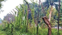 সীমান্তে বিএসএফের গুলিতে দুই বাংলাদেশি নিহত