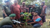 তানোরে আনসার কমান্ডারের উদ্যোগে গাছের চারা বিতরণ