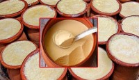 যেভাবে বাড়িতেই তৈরি করবেন মিষ্টি দই