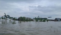নদ-নদীর পানি বেড়ে ১৮ জেলায় বন্যার শঙ্কা