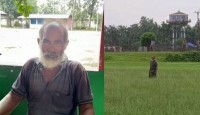 সীমান্তে আটকে থাকা বৃদ্ধের আছে আইডি কার্ড, চিনতে পেরেছে পরিবার